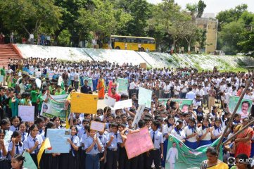 Celebs participating Haritha Haaram Event